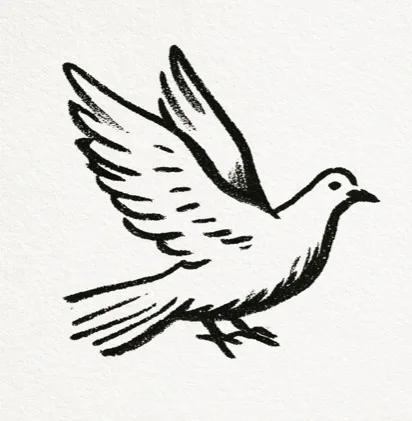 Hand-drawn ink illustration of a dove carrying an olive branch